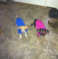 Chase and Abby in Hoodies